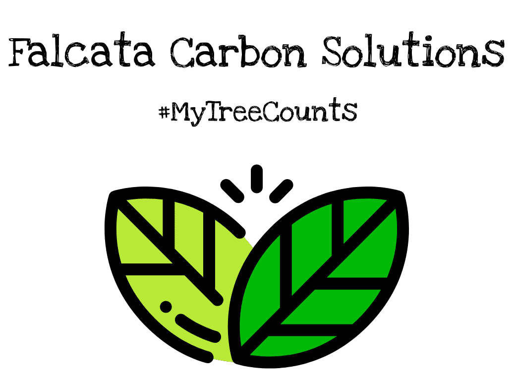 Falcata Carbon Solutions